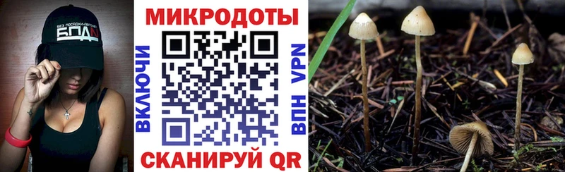 kraken ONION  магазин    Белоозёрский  Галлюциногенные грибы мухоморы 